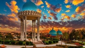 Toshkent tumanlari murojaatlar yechimini baholandi