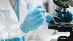 School student discovered bacteria against fungi