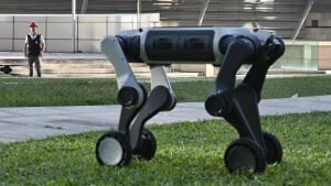 Xitoyda sun’iy intellektli robot-itlar ishga tushdi