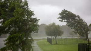 The weather will be cool on weekends in Uzbekistan