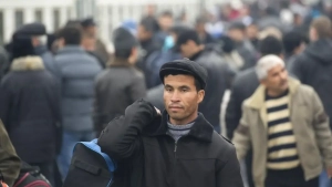 Mehnat migrantlari uchun yangi sug‘urta tizimi joriy etildi