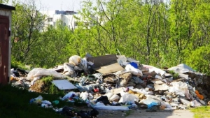 O‘zbekistonda ekologik jinoyatlar soni oshmoqda