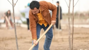 Yashil bilet tizimi joriy etilib karbon izi kompensatsiya qilinadi