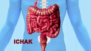 Если кишечник работает плохо, ваше настроение тоже портится!