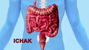 Если кишечник работает плохо, ваше настроение тоже портится!