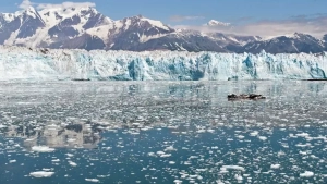 The sea level could rise by three meters — scientists warn