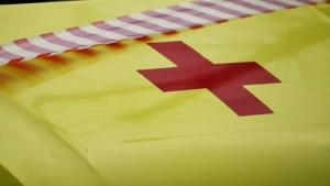 A 13-year-old teenager died during sambo training in Voronezh