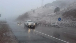 Albatta, matnni yuboring, sarlavha tayyorlab beraman.