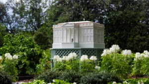 Melaniya Tramp Oq uyda yangi asalari uyasini o'rnatdi