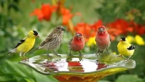 Over 48,000 disappearing new species have been recorded