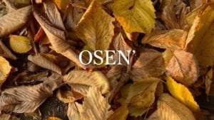 10-13 noyabr: O‘zbekistonda quruq va iliq ob-havo.