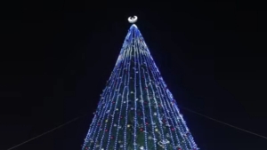 В Ташкентской области зажгли главные новогодние ёлочные огни