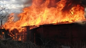 12 people died in the fire in Turkistan