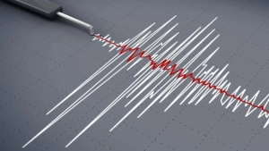 The earthquake in Kyrgyzstan was also felt in Uzbekistan