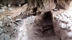 В горах Бойсун обнаружено 9200-летнее земледелие