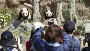 Japan will be without pandas in 2026