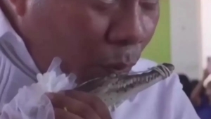 San-Pedro merining jonli kayman bilan ramziy nikohi