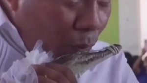 San-Pedro merining jonli kayman bilan ramziy nikohi