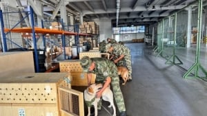 Janubiy Koreya O‘zbekistondan olti xizmat itini sotib oldi