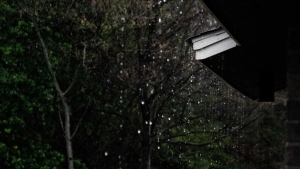 Weather in Uzbekistan will be variable in the coming days