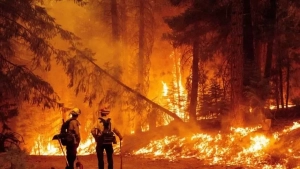 Bursa o‘rmon yong‘inlari evakuatsiyani talab qildi