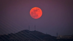Avqust oyida noyob astronomik hodisa qisman oy tutilishi kuzatiladi