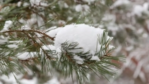 В горных районах объявлена угроза схода лавин