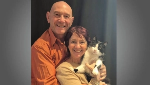 The cat that traveled 250 km returned home