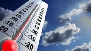 16 avgustda O‘zbekistonda kuchli shamol bo‘ladi