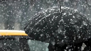 1-fevralda O‘zbekistonda iliq havo va yomg‘ir kutilmoqda