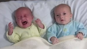 O‘zbekistonda egizak chaqaloqlar soni oshdi