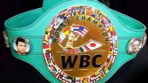 WBC yangilangan reytingida O‘zbekistonning o‘n bir bokschisi qayd etildi