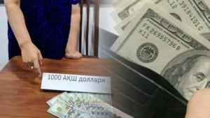 Qorqalpog‘istonda ishga joylashish firibgarlari aniqlandi