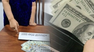 Qorqalpog‘istonda ishga joylashish firibgarlari aniqlandi