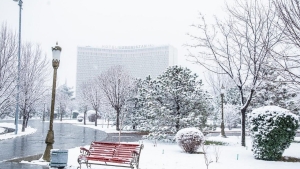 O'zbekistonda bahor o'rniga yana qish qaytmoqda