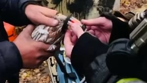В Октябрьском из пожара спасли голубей