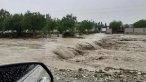 Heavy rain and flash flood warnings declared in nine regions