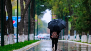 14-dekabr kuni O‘zbekistonda yomg‘ir va tuman kutiladi