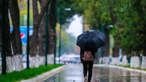 14-dekabr kuni O‘zbekistonda yomg‘ir va tuman kutiladi