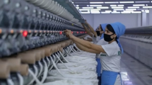 78% of commercial organizations in Uzbekistan are LLCs