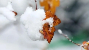 Warm days and a return of cold weather are expected in February