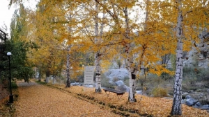 Прогноз зимней погоды на 2025–2026 годы объявлен