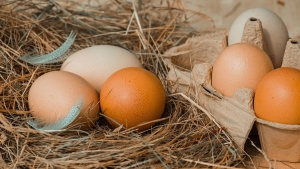 Kazakhstan has banned egg imports for one month