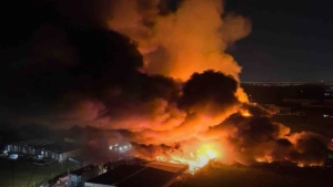 Factory explosion in Argentina injures 22 people