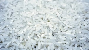 O‘zbekiston Qirg‘iziston guruchining eng yirik xaridori bo‘ldi