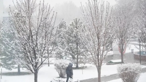 18-yanvar kuni O‘zbekistonda ob-havo qanday bo‘ladi?