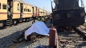 Train and elephant collision: 7 elephants killed