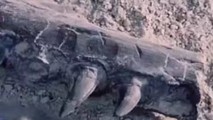 Ancient Dinosaur Bones Found in Karakalpakstan