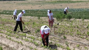 President regulated the efficient use of agricultural lands