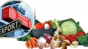 Узбекистан в внешней торговле устанавливает рекорд: рост в 2,4 раза, 85 стран, новые рынки!